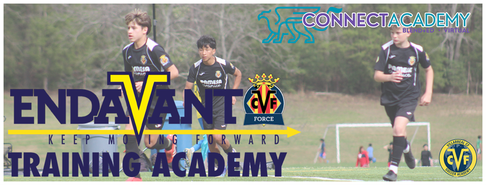 ENDAVANT TRAINING ACADEMY